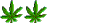 Intermediate Intermediate